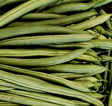 Haricot vert | Orangeraie Primeurs